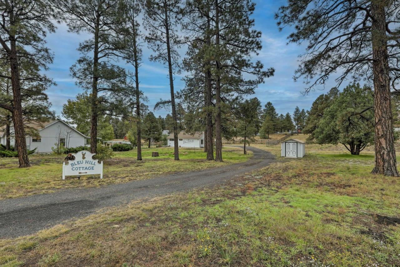 Ski Snow Bowl And Hike Cozy Flagstaff Cottage! Exterior foto